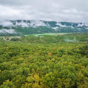 Photo #21 of TBD WHIPPOORWILL LN, MONTEREY, VA 38.8 acres