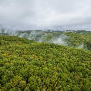 Photo #7 of TBD WHIPPOORWILL LN, MONTEREY, VA 38.8 acres