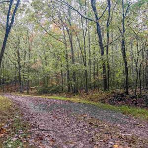 Photo #33 of TBD WHIPPOORWILL LN, MONTEREY, VA 38.8 acres