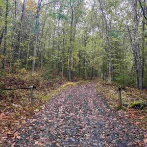 Photo #36 of TBD WHIPPOORWILL LN, MONTEREY, VA 38.8 acres