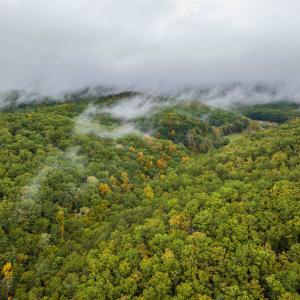 Photo #3 of TBD WHIPPOORWILL LN, MONTEREY, VA 38.8 acres