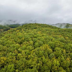 Photo #2 of TBD WHIPPOORWILL LN, MONTEREY, VA 38.8 acres