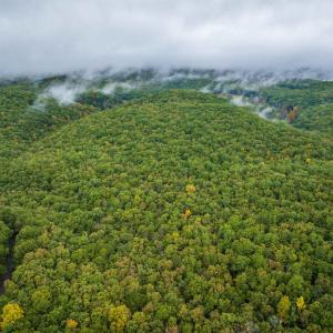 Photo #12 of TBD WHIPPOORWILL LN, MONTEREY, VA 38.8 acres