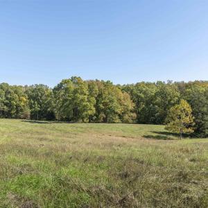 Photo #5 of 14560 MADISON RUN RD, GORDONSVILLE, VA 448.0 acres