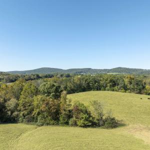 Photo #21 of 14560 MADISON RUN RD, GORDONSVILLE, VA 448.0 acres