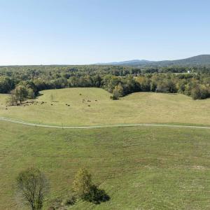 Photo #29 of 14560 MADISON RUN RD, GORDONSVILLE, VA 448.0 acres