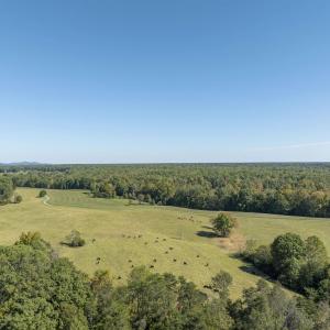 Photo #17 of 14560 MADISON RUN RD, GORDONSVILLE, VA 448.0 acres