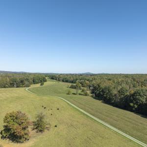 Photo #16 of 14560 MADISON RUN RD, GORDONSVILLE, VA 448.0 acres