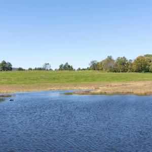 Photo #10 of 14560 MADISON RUN RD, GORDONSVILLE, VA 448.0 acres