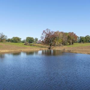 Photo #9 of 14560 MADISON RUN RD, GORDONSVILLE, VA 448.0 acres