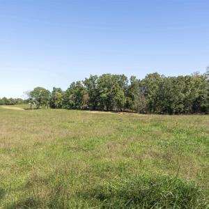 Photo #6 of 14560 MADISON RUN RD, GORDONSVILLE, VA 448.0 acres