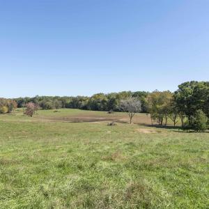 Photo #8 of 14560 MADISON RUN RD, GORDONSVILLE, VA 448.0 acres