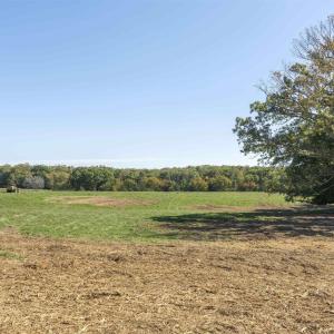 Photo #7 of 14560 MADISON RUN RD, GORDONSVILLE, VA 448.0 acres