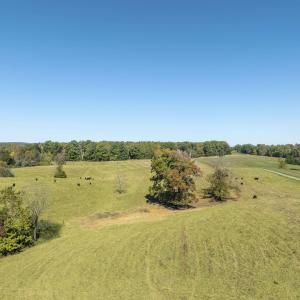Photo #15 of 14560 MADISON RUN RD, GORDONSVILLE, VA 448.0 acres