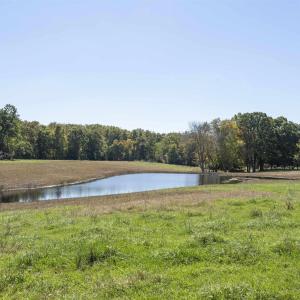 Photo #13 of 14560 MADISON RUN RD, GORDONSVILLE, VA 448.0 acres