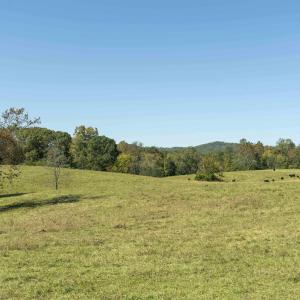 Photo #4 of 14560 MADISON RUN RD, GORDONSVILLE, VA 448.0 acres