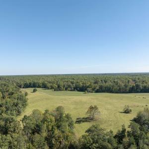 Photo #18 of 14560 MADISON RUN RD, GORDONSVILLE, VA 448.0 acres