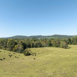 Photo #1 of 14560 MADISON RUN RD, GORDONSVILLE, VA 448.0 acres