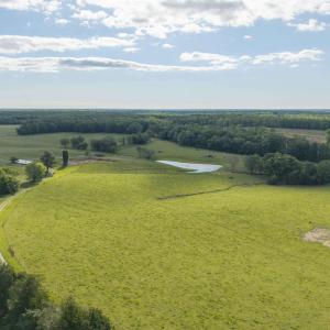Photo #50 of 14560 MADISON RUN RD, GORDONSVILLE, VA 448.0 acres