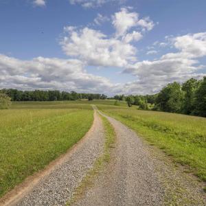 Photo #67 of 14560 MADISON RUN RD, GORDONSVILLE, VA 448.0 acres