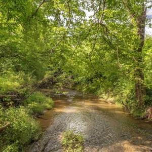 Photo #66 of 14560 MADISON RUN RD, GORDONSVILLE, VA 448.0 acres