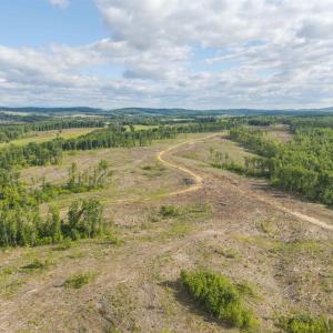 Photo #57 of 14560 MADISON RUN RD, GORDONSVILLE, VA 448.0 acres