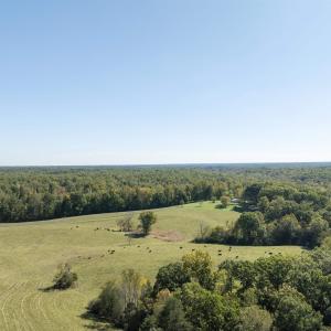 Photo #19 of 14560 MADISON RUN RD, GORDONSVILLE, VA 448.0 acres