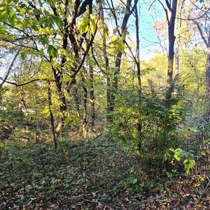Photo #2 of CAVE SPRING LN, EDINBURG, VA 0.8 acres