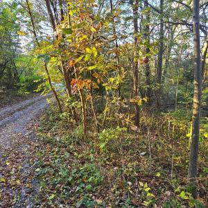 Photo #1 of CAVE SPRING LN, EDINBURG, VA 0.8 acres