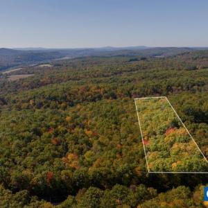 Photo #4 of TBD TREY CT, AMHERST, VA 5.3 acres