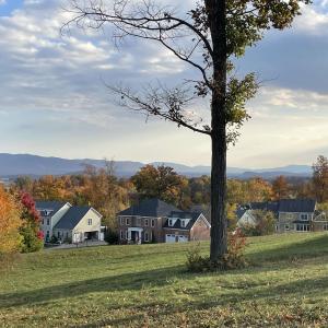 View from Lot to the East, Blue Ridge Mountains