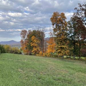 View from Lot to the North, Massanutten Ridgeline
