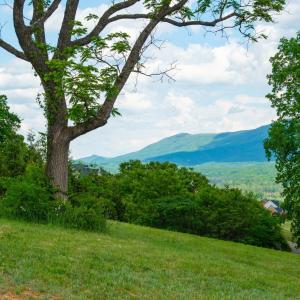 Photo #9 of 120 KESWICK CT, ROCKINGHAM, VA 1.0 acres