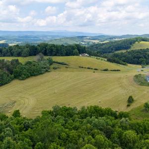 Photo #8 of 25 KOOGLER TRL, RAPHINE, VA 11.3 acres