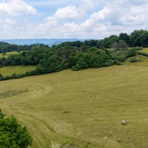 Photo #3 of 25 KOOGLER TRL, RAPHINE, VA 11.3 acres