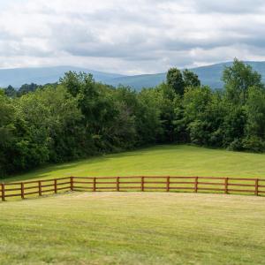 Photo #13 of 25 KOOGLER TRL, RAPHINE, VA 11.3 acres