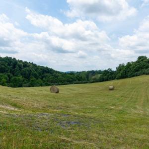 Photo #14 of 25 KOOGLER TRL, RAPHINE, VA 11.3 acres