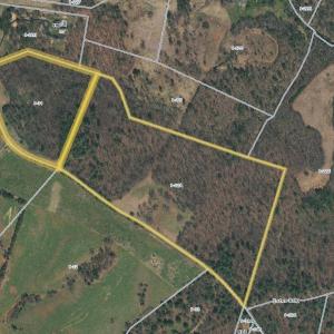 Photo #3 of TBD SIMMONS GAP RD, DYKE, VA 37.3 acres