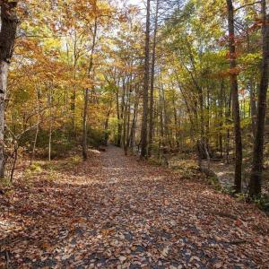 Photo #26 of 316 STONEY CREEK WEST, NELLYSFORD, VA 1.2 acres