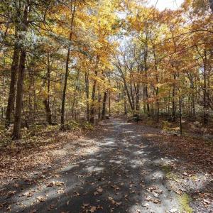 Photo #28 of 316 STONEY CREEK WEST, NELLYSFORD, VA 1.2 acres