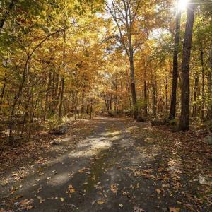 Photo #29 of 316 STONEY CREEK WEST, NELLYSFORD, VA 1.2 acres