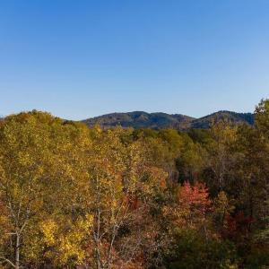 Photo #17 of 316 STONEY CREEK WEST, NELLYSFORD, VA 1.2 acres