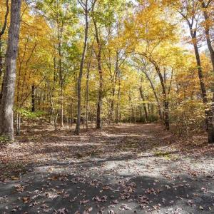 Photo #27 of 316 STONEY CREEK WEST, NELLYSFORD, VA 1.2 acres