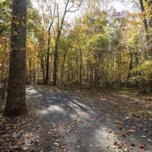 Photo #30 of 316 STONEY CREEK WEST, NELLYSFORD, VA 1.2 acres
