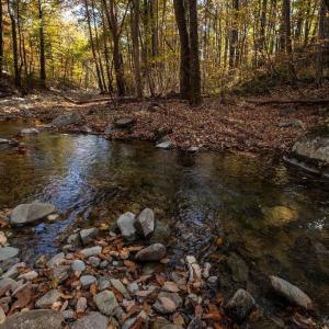 Photo #22 of 316 STONEY CREEK WEST, NELLYSFORD, VA 1.2 acres