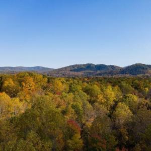 Photo #16 of 316 STONEY CREEK WEST, NELLYSFORD, VA 1.2 acres