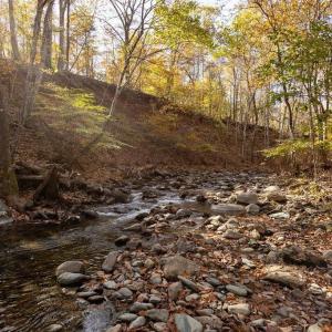 Photo #24 of 316 STONEY CREEK WEST, NELLYSFORD, VA 1.2 acres
