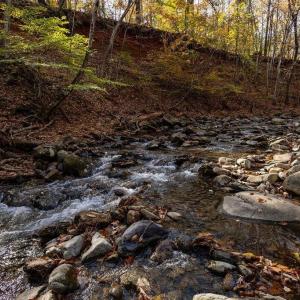 Photo #23 of 316 STONEY CREEK WEST, NELLYSFORD, VA 1.2 acres