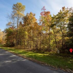 Photo #20 of 316 STONEY CREEK WEST, NELLYSFORD, VA 1.2 acres