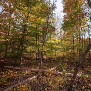 Photo #21 of 316 STONEY CREEK WEST, NELLYSFORD, VA 1.2 acres